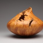 Teardrop, Landscape Series by Michael Peterson