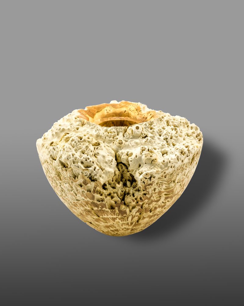 Whited Sepulcher Series 16-1