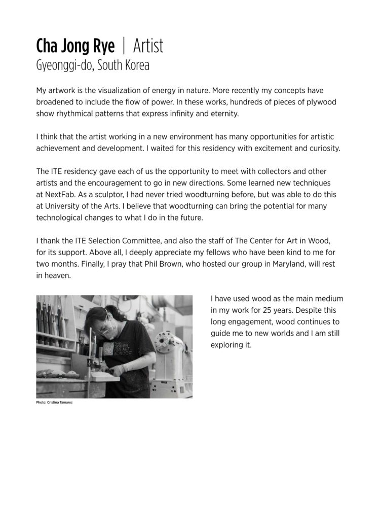 Artist Statement and bio- Cha Jong Rye