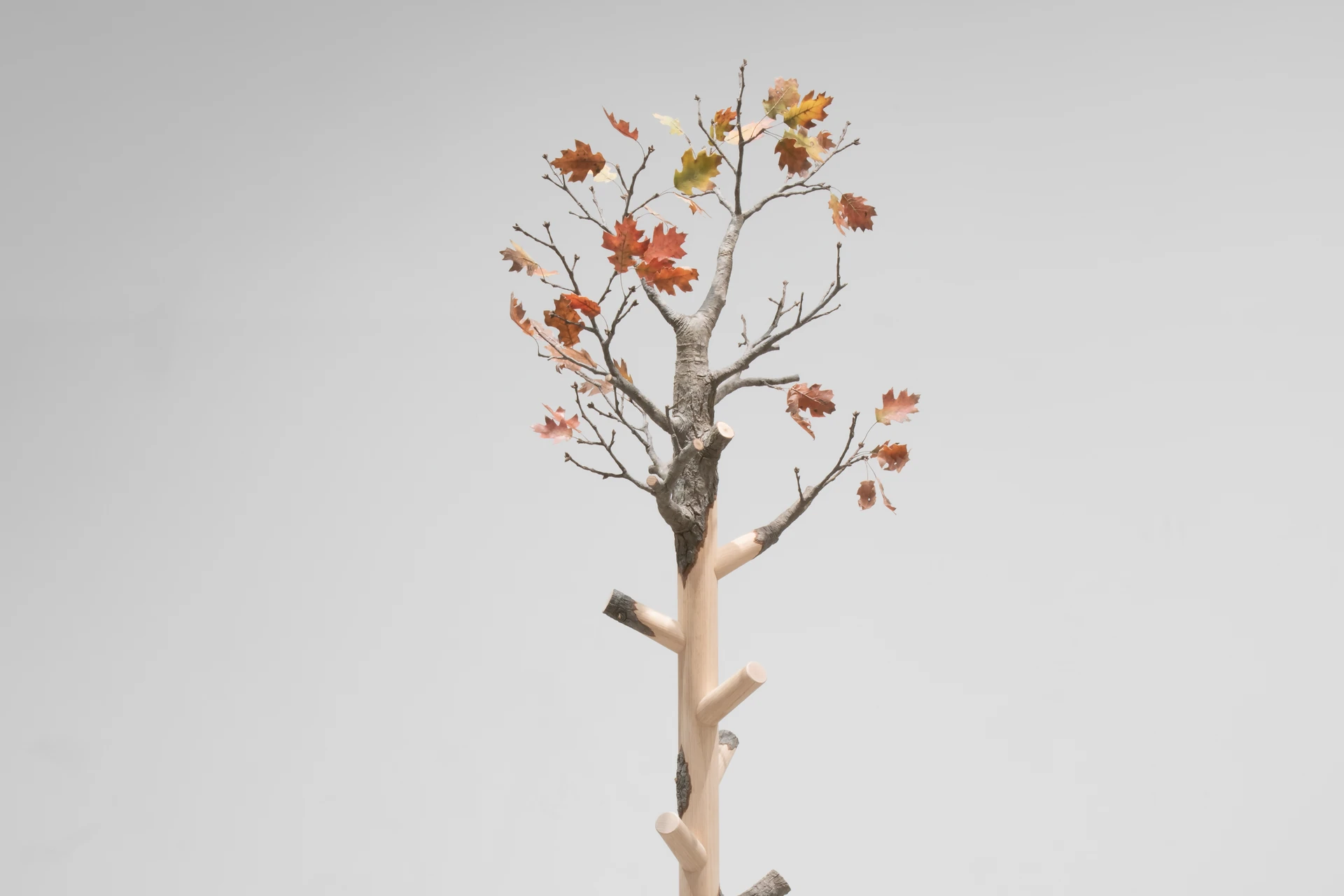 Joyce Lin, Coat Tree, 2026, detail image